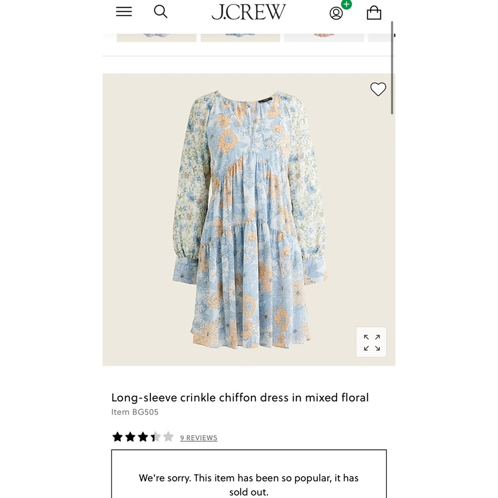 JCREW long sleeve lace floral dress (sold out online) Size 10